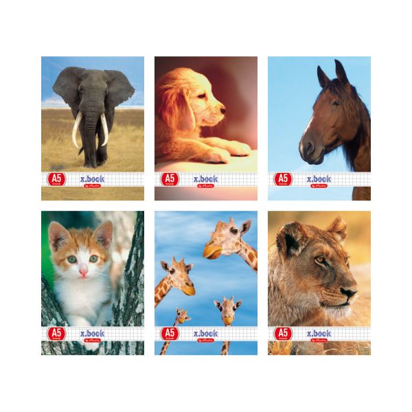Zeszyt A5, 16 kartek, linia podwójna Animals